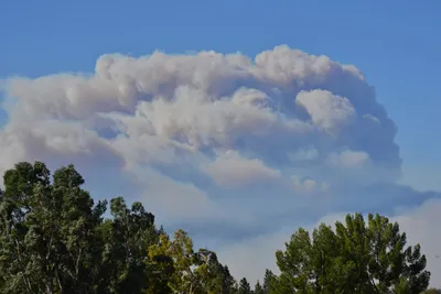 DSC_5600 (Large).JPG